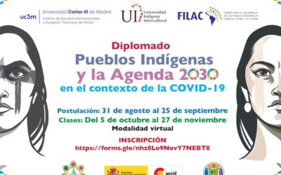 Becas:  Diplomado “Pueblos Indígenas y la Agenda 2030 en el Contexto de la Pandemia Covid 19”