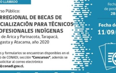 Convocatoria a Becas: Diplomado fortalecimiento del liderazgo de las mujeres indígenas. Énfasis en competencias para mitigar los impactos de la Pandemia COVID-19