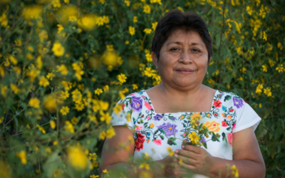 “Hoy es un día histórico para el pueblo maya”: Leydy Pech al recibir el premio de Fundación Goldman