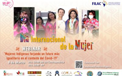 Webinar: “Mujeres Indígenas forjando un futuro más igualitario en el contexto del Covid-19”.